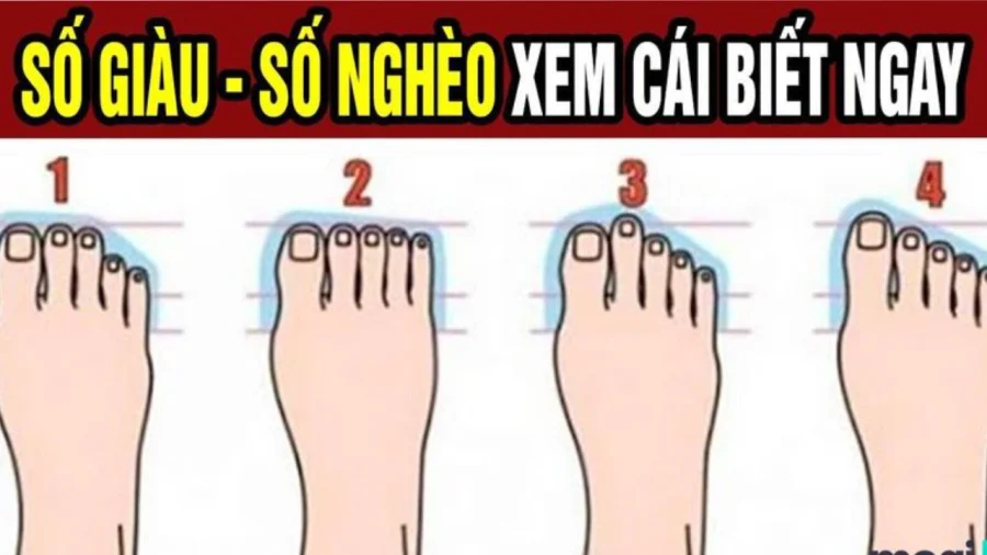 Chuyên gia tướng số nói: Xem bàn chân biết ngay bạn thuộc 9 quý tướng này không, chuẩn hơn nhìn mặt