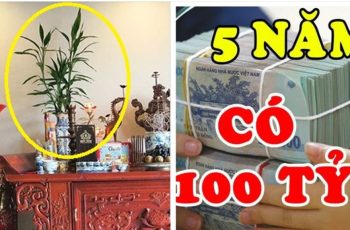 Hoa cúng trên bàn thờ đừng suốt ngày đặt hoa cúc mãi. Đây mới là loại cây, loại hoa may mắn, giàu nhanh chóng mặt