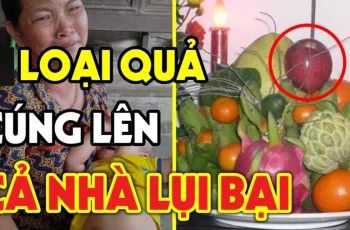 5 loại trái cây ngon ngọt, đẹp mắt nhưng người xưa rất kị thắp hương, là quả gì?