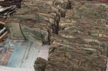 Cụ ông chôn 700 triệu đồng tiềnn mặt dưới đất, khi con cháu phát hiện ra thì “khóc ròng”