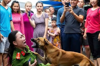 Chó điên tấn công nữ Công An giữa phố – Camera vạch trần một sự thật khiến ai cũng sốc