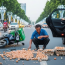 Người giao trứng nghèo bị ngã giữa đường nhưng không ai giúp đỡ, bất ngờ một cô gái đi xe sang vội vàng bước xuống rồi quỳ sụp xuống trước mặt ông…