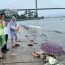 Vụ lật tàu ở Hạ Long: Lời hẹn dang dở của người bố mặc áo phao cứu con