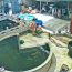 Vụ chồng bị vợ đạp xuống hồ cá Koi gây sốc: Người chồng đăng full clip, nói thật toàn bộ lý do