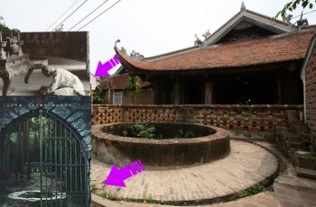 Câu nói: ‘Một người không vào chùa, hai người không nhìn giếng, ba người không ôm cây’. Tại sao?