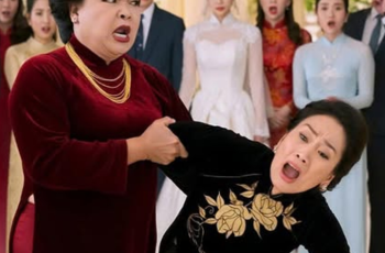 Mẹ chồng cậy là tỷ phú, công khai đẩy ngã mẹ đẻ cô dâu trước hàng trăm quan khách, 10 phút sau bà ta phải quỳ gối xin tha…