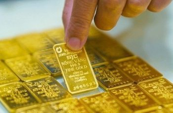 Giá vàng hôm nay (14-11): Tăng phi mã Giá vàng hôm nay (14-11): Tăng phi mã