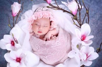 Nghiên cứu của Đại học Harvard phát hiện: Trẻ em sinh vào hai tháng này rất thông minh Nghiên cứu của Đại học Harvard phát hiện: Trẻ em sinh vào hai tháng này rất thông minh