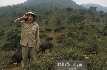 Suốt 5 năm, Lâm không đặt chân trở lại ngọn núi ấy Suốt 5 năm, Lâm không đặt chân trở lại ngọn núi ấy