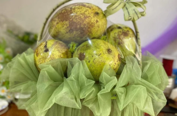 Giỏ trái cây tặng cô giáo nhân ngày 20/11 khiến mạng cả xã hội thắc mắc: Đã tìm ra chủ nhân và lý do Giỏ trái cây tặng cô giáo nhân ngày 20/11 khiến mạng cả xã hội thắc mắc: Đã tìm ra chủ nhân và lý do