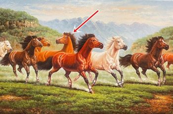 Vì sao trong bức tranh ‘Mã đáo thành công’ luôn có 1 con ngựa quay đầu nhìn lại Vì sao trong bức tranh ‘Mã đáo thành công’ luôn có 1 con ngựa quay đầu nhìn lại