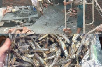 Em trai tôi tuy không học đại học nhưng rất chịu khó chịu khổ đi học nghề sửa chữa.