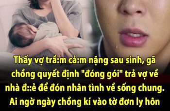 Thấy vợ trầm cảm nặng sau sinh, gã chồng quyết định “đóng gói” trả vợ về nhà đẻ để đón nhân tình về sống chung. Ai ngờ ngày chồng kí vào tờ đơn ly hôn cũng là ngày kịch hay hạ màn. Hóa ra cô bồ không phải ai xa lạ mà chính là…