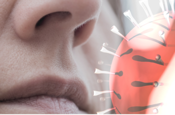 Infographic: Người nhiễm virus Nipah có triệu chứng ban đầu như thế nào?