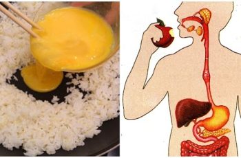 3 bữa sáng “ưa thích của tế bào UT”, 90% người Việt đang ăn hàng ngày mà không biết