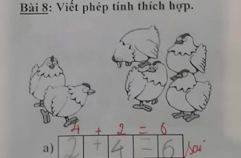 Bài toán lớp 1 khiến cộng đồng mạng chia phe tranh luận