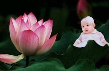 Trẻ sinh vào 5 ngày âm lịch: Con trai là Thần Tài, con gái là Đại gia, cha mẹ nở mày nở mặt