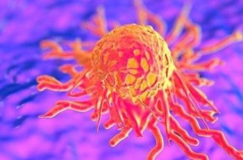 Nếu ‘bộ phận’ này của cơ thể bị đau, đó có thể là ‘tế bào UT’ sắp thức giấc, đừng bỏ qua!