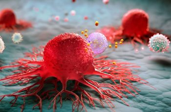 Nhật Bản có tỉ lệ qua đời vì UT rất thấp: 3 món họ ít ăn, chúng ta lại ăn thật nhiều Nhật Bản có tỉ lệ qua đời vì UT rất thấp: 3 món họ ít ăn, chúng ta lại ăn thật nhiều